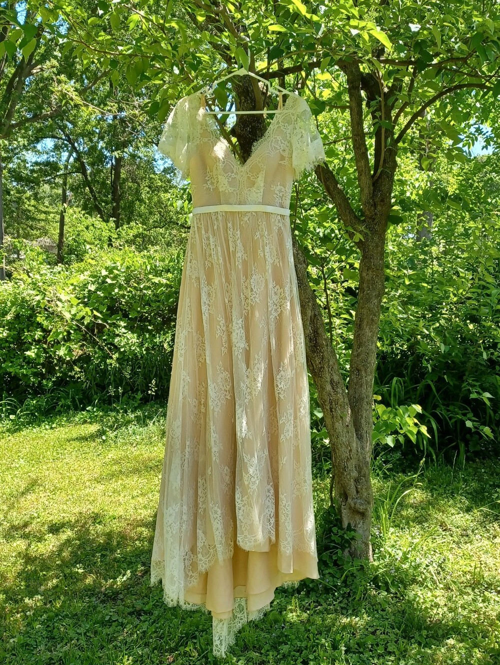 Sheer Lace V-Neck Wedding Dress in Champagne